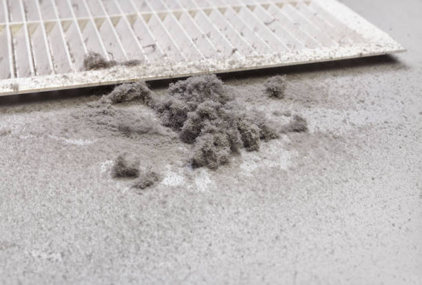 Best Air Duct Cleaning Near Me in Tremonton, UT